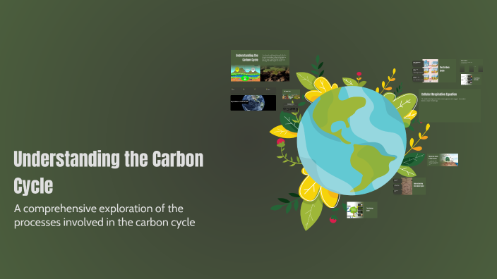 Understanding the Carbon Cycle by Madelyne Denny on Prezi