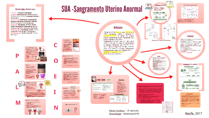 Fluxograma Sangramento Uterino Anormal Hot Sex Picture 2126