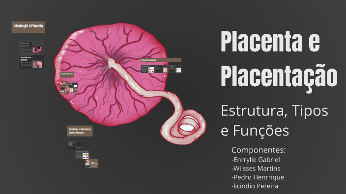 Placenta e Placentação by Enrryle Gabriel on Prezi