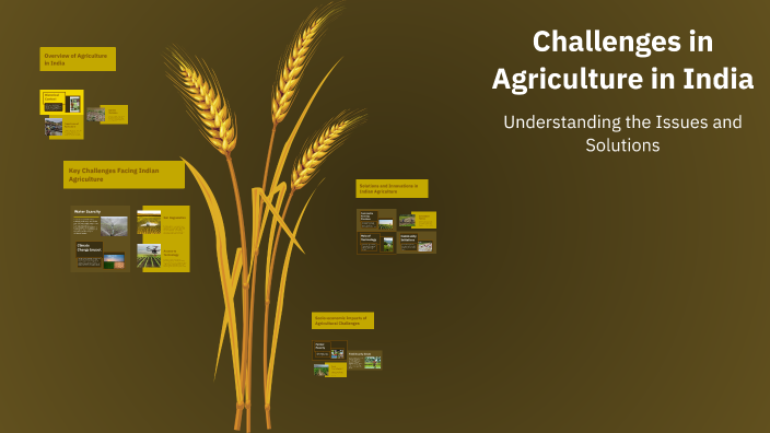 Challenges in Agriculture in India by Bhavik prajapati on Prezi