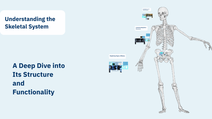 Understanding the Skeletal System by RONNIE SIBUNGA on Prezi