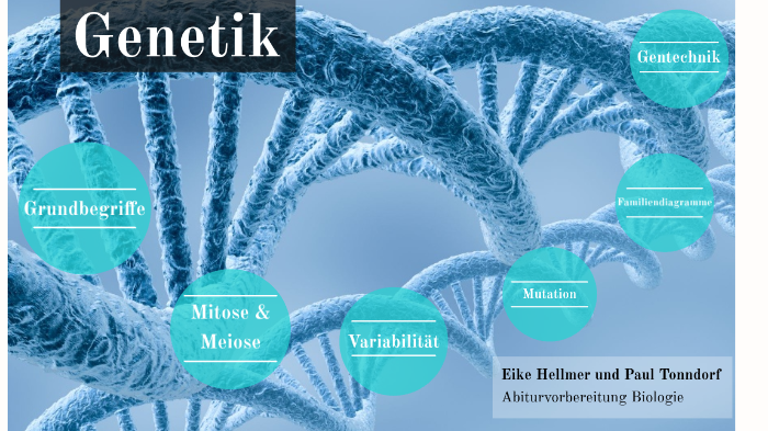 Genetik By Paul Bastian Tonndorf