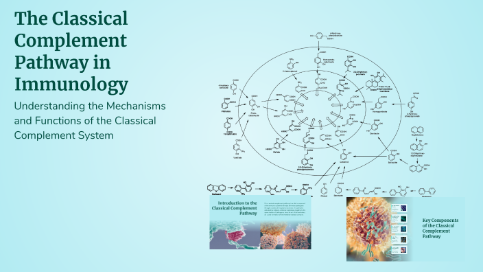 The Classical Complement Pathway in Immunology by Rho Pascua on Prezi