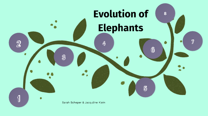 Elephant timeline by jac klein