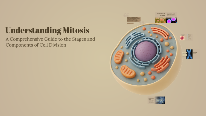 Understanding Mitosis by Aaron Bernabe on Prezi