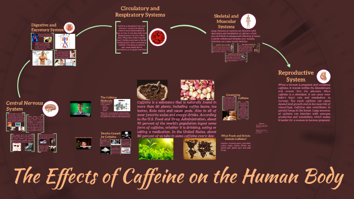 The Effects of Caffeine on the Human Body by SoneQuia Ferguson on Prezi