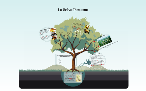 La selva del perú by gisselle hernandez on Prezi