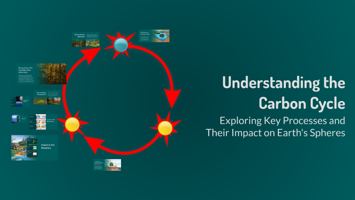 Understanding the Carbon Cycle by DJ Apodaca on Prezi