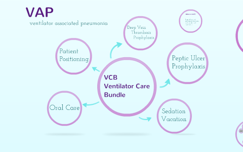 vap potsdam VAP by marda taylor on Prezi
