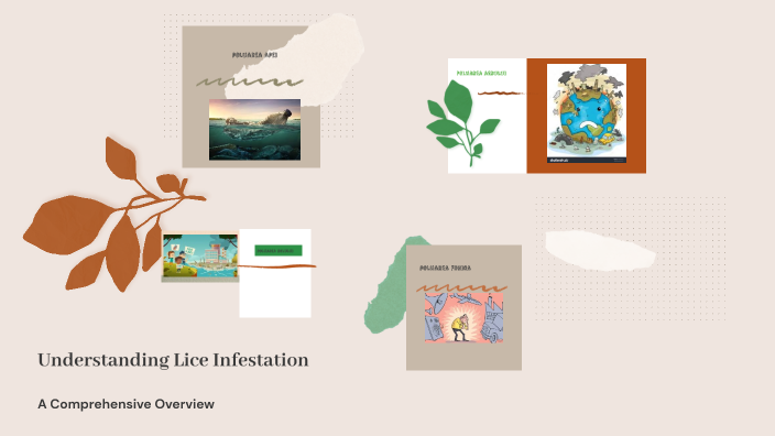Understanding Lice Infestation by padure nicolle bianca on Prezi