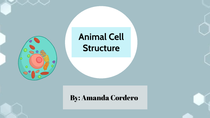 Animal Cell by Amanda Cordero on Prezi