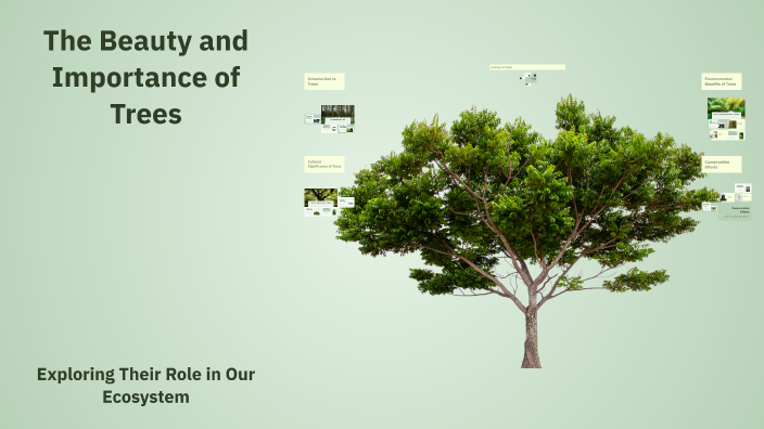 The Beauty and Importance of Trees by Anna Zuidgeest on Prezi
