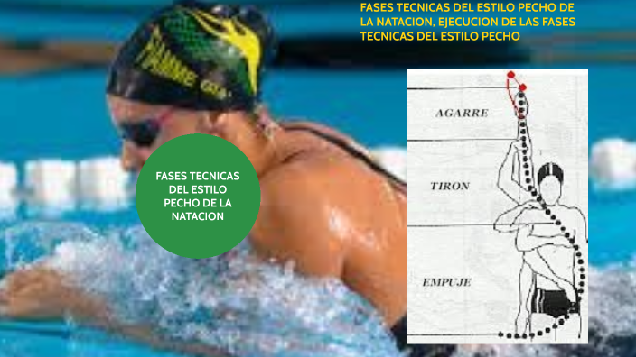 fases tecnicas de la natación by ERICK DAMIAN MEJIA ARROYO on Prezi