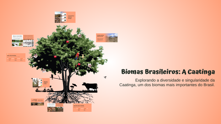 Biomas Brasileiros: A Caatinga by Eduarda Heloísa Santa Rosa on Prezi