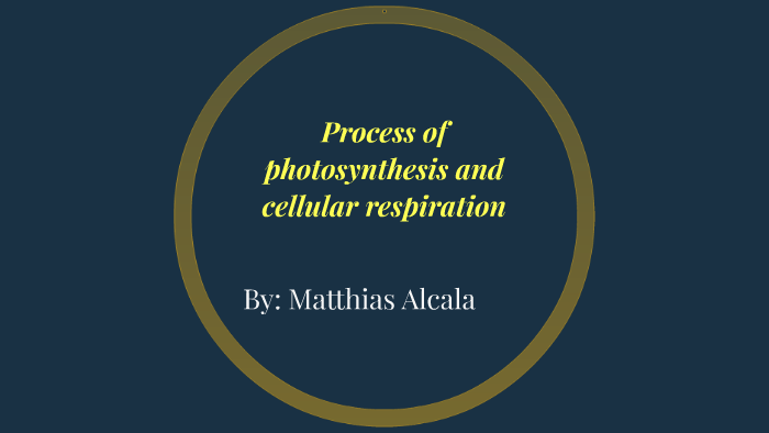 Model Of Photosynthesis And Cellular Respiration By Mat Alcala