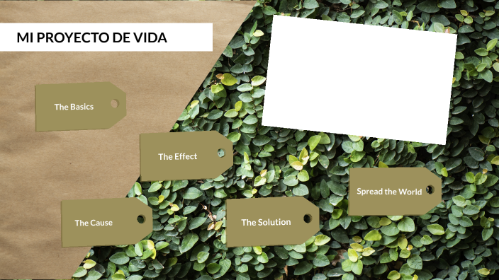 Mi proyecto de vida by KATIA JHAJAIRA SANTOS CHICLLA on Prezi