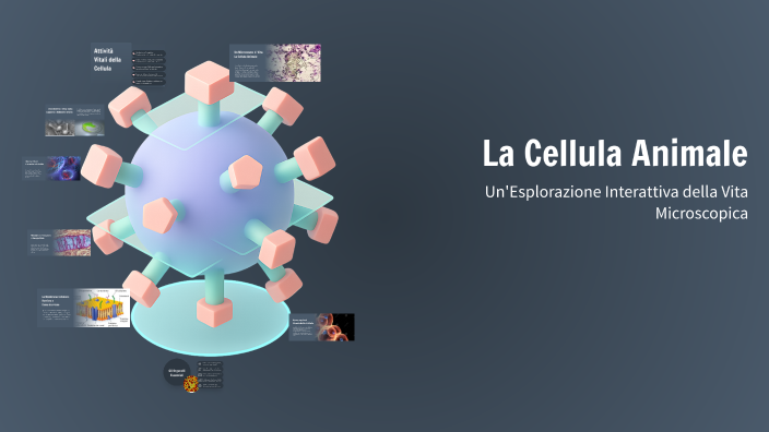 La Cellula Animale by Maria Pia Di Grado on Prezi