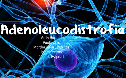 Adrenoleucodistrofia by Saraí Cárdenas on Prezi