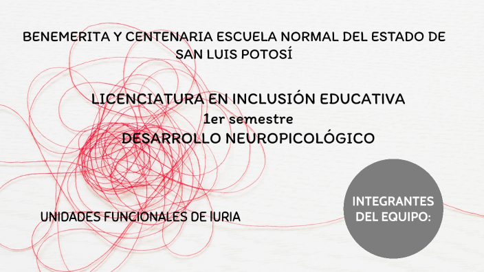 unidades funcionales de Luria by Galilea Martínez on Prezi