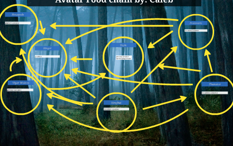 Avatar Food chain by Caleb Chaney on Prezi