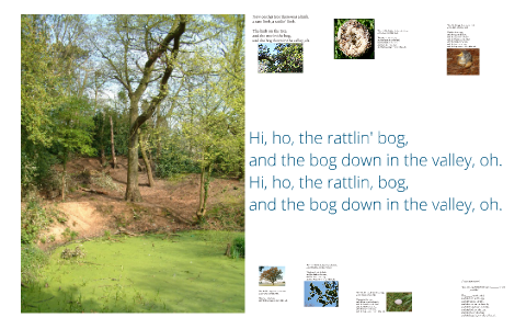 Hi ho the rattlin bog by Brent Stapley on Prezi