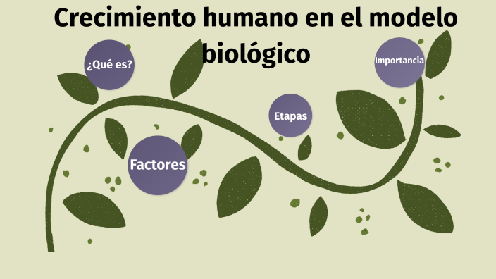 Crecimiento humano en el modelo biologico by JOSE GUADALUPE GUADARRAMA  TLALMANALCO