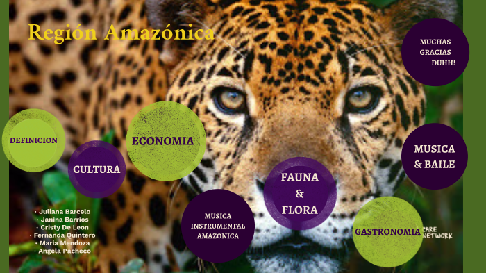 Región amazonica by juliana barcelo on Prezi