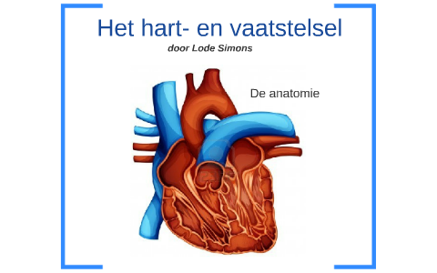 Het hart- en vaatstelsel by Lode Simons on Prezi