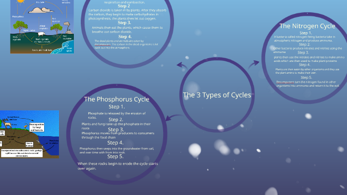 The Carbon Cycle by Ashley Blackwell on Prezi