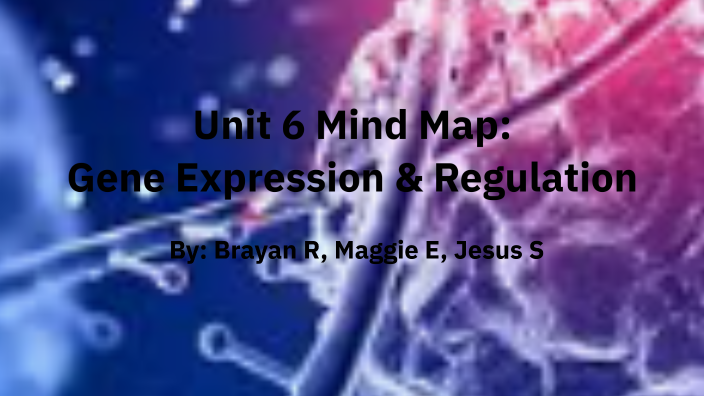 Unit 6 Mind Map by Brayan Ramirez on Prezi