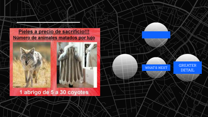 Los animales y sus derechos by Juliana Rios orozco on Prezi