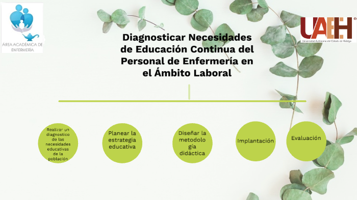 Diagnosticar Necesidades de Educación Continua del Personal de ...