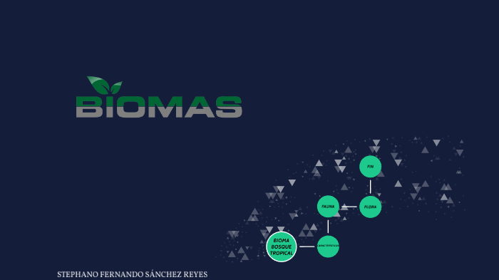 LOS BIOMAS by Stephano Sanchez on Prezi