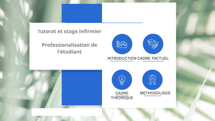 Tutorat Et Stage Infirmier - Professionalisation De L'étudiant By ...