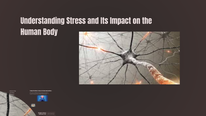 Understanding Stress and Its Impact on the Human Body by Tracy Rowland ...
