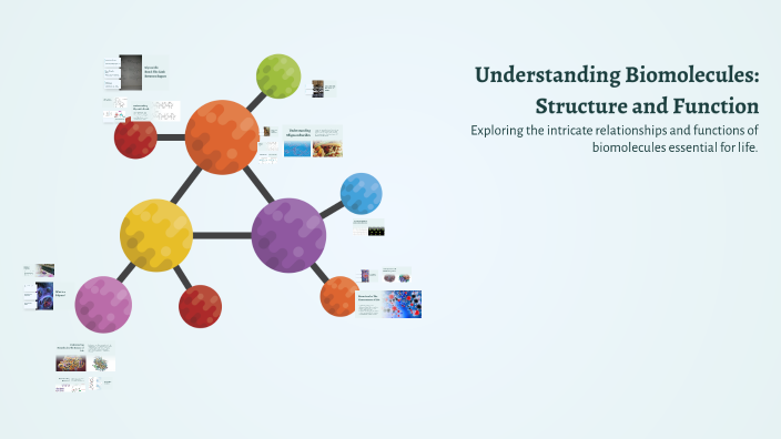 Understanding Biomolecules: Structure and Function by Ali Asghar on Prezi