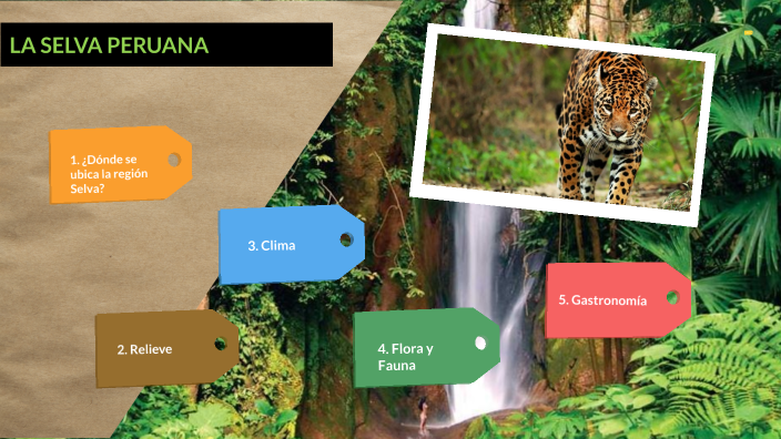 La selva peruana by Ariana Cecilia Cueto Zevallos on Prezi