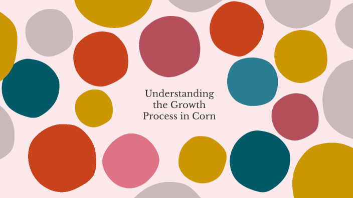 Corn Stages by Kenzie Paxson on Prezi