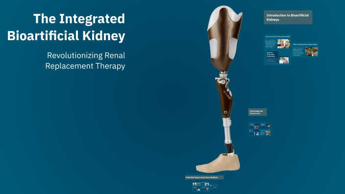 The Integrated Bioartificial Kidney by Just A Guy With An Email on Prezi