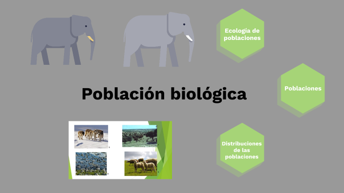 Población biológica by Valentina Shirell Pana Codd on Prezi