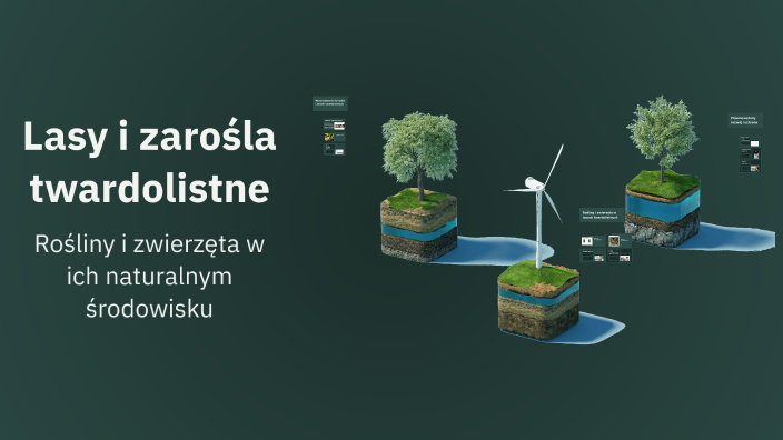 Lasy I Zaro la Twardolistne By Zofia K On Prezi