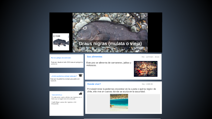 Graus nigra (vieja o mulata) by Isaias Rojas on Prezi
