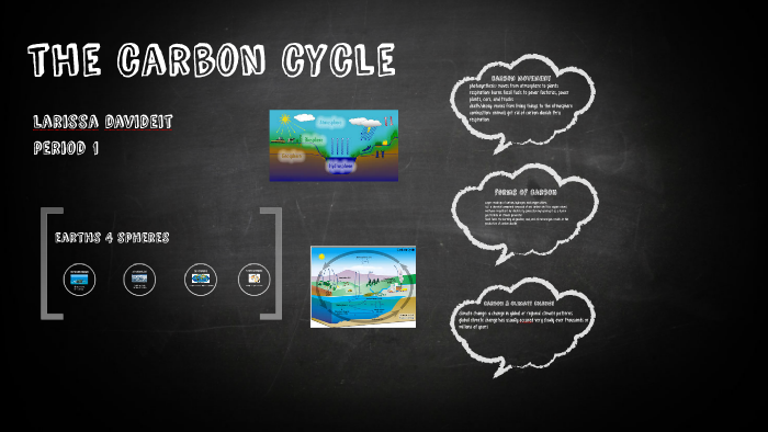 the carbon cycle by Larissa Davideit on Prezi