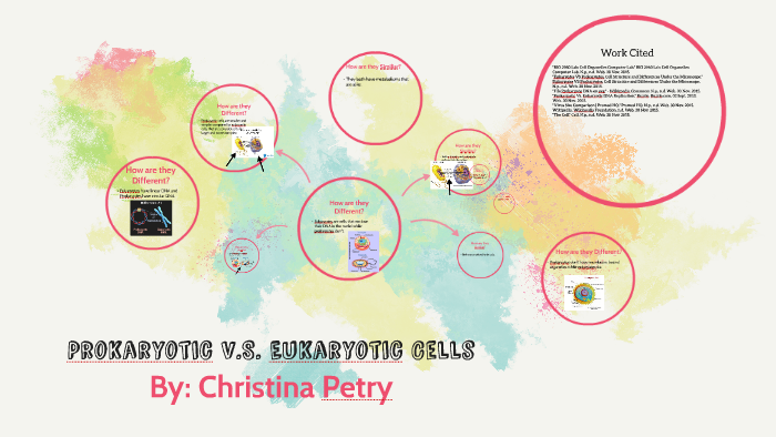Prokaryotic Vs Eukaryotic Cells The Vacuole Mystery Solved - a1b8ico