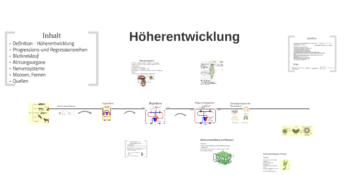 Copy Of Hoherentwicklung 2 0 By Helene Richter On Prezi
