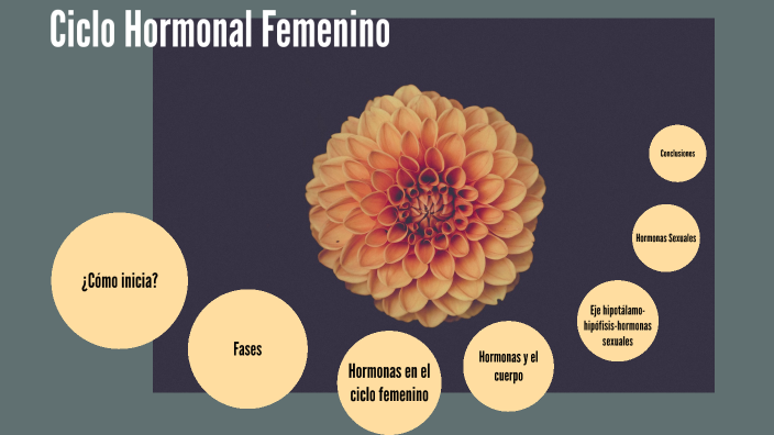 Ciclo Hormonal Femenino By Alejandra Qa On Prezi Next 8166