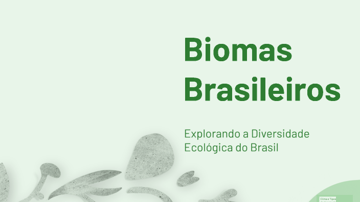 Biomas Brasileiros by Thayemelli Silva Santos on Prezi