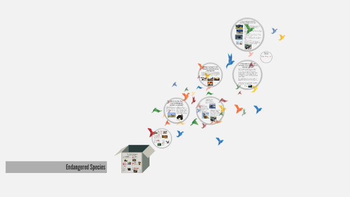 Endangered Species by on Prezi