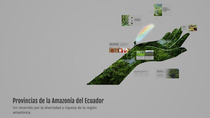 Provincias de la Amazonía del Ecuador by Holguin Delgado Anabelly ...