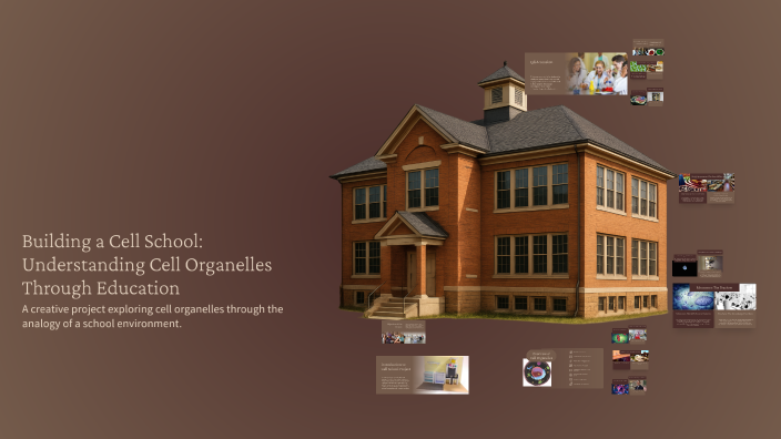 Prep Cell Building Building a Cell School: Understanding Cell Organelles Through Education ...